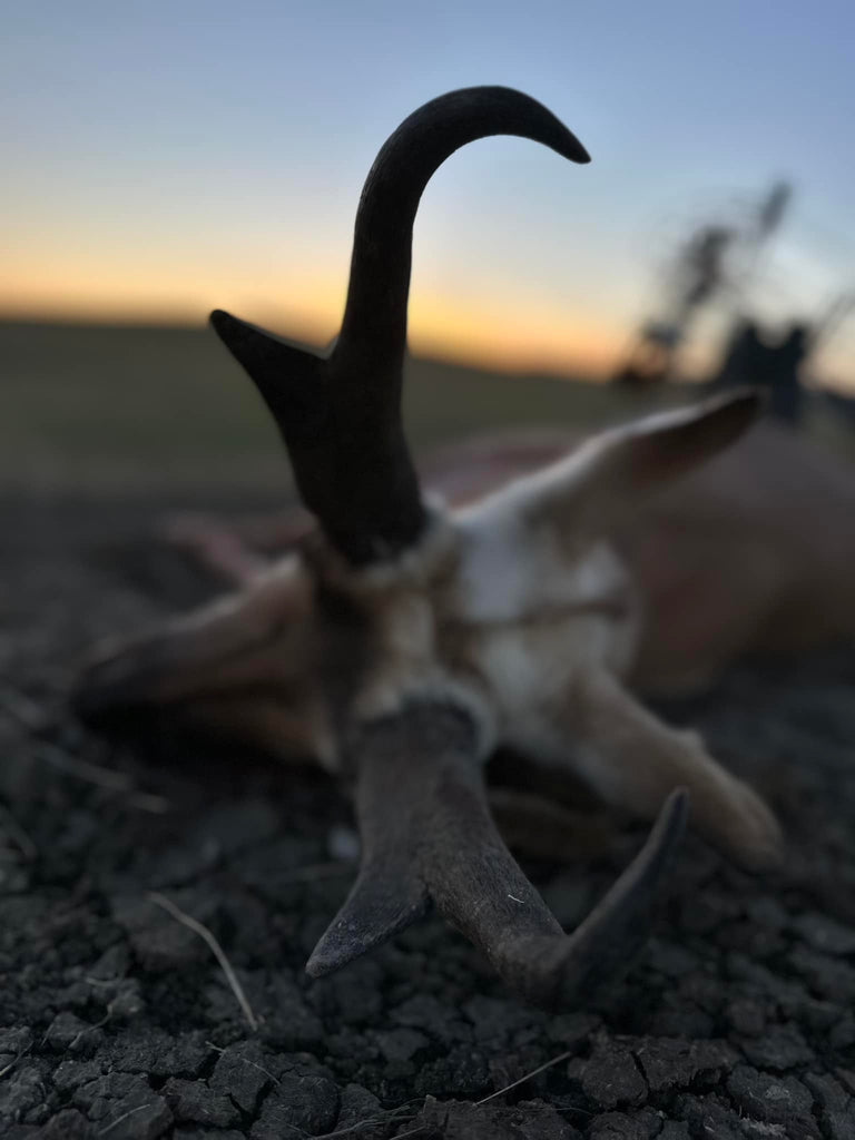 Antelope Hunting On A Budget